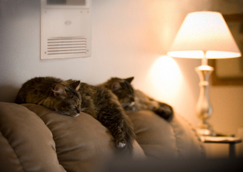 BioSmart Infrared Heaters are safe 