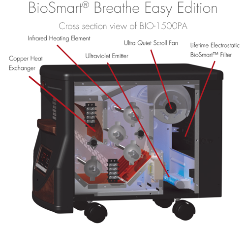 cross section of 1500p
